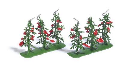 (HO) トマト　6本