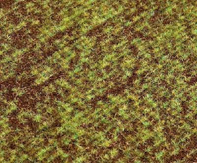 風景セグメント 草地