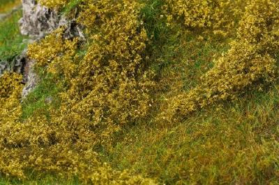 フォリッジ 群生した植物 ライトグリーン