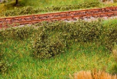 フォリッジ 群生した植物 ダークグリーン