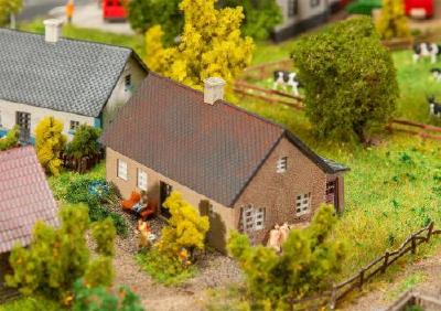 フリーラント島の小さなコテージ