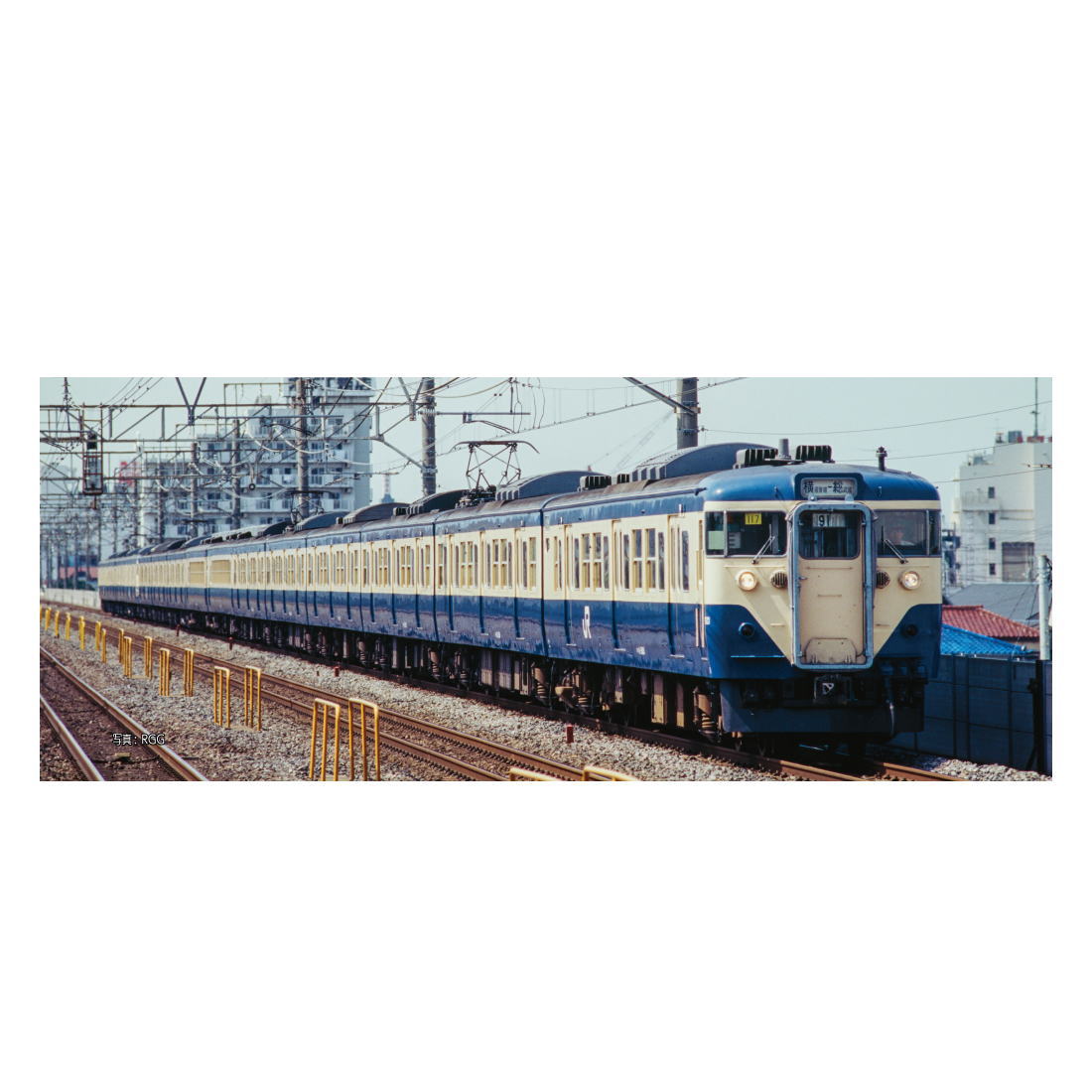 【ご予約】74262-2(N)サロ124 横須賀色