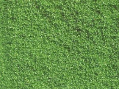 グラスフォーリッジ ライトグリーン 20g