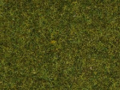 グラスマスター用草 牧草地 草丈4mm 20g