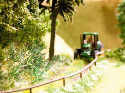 シダ 9個入り HO