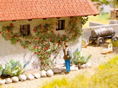 つるバラ 6個入り HO