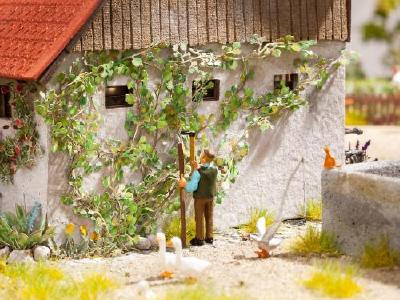 アメリカ蔦 12個入り HO