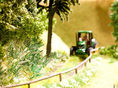 シダ 18個入り N