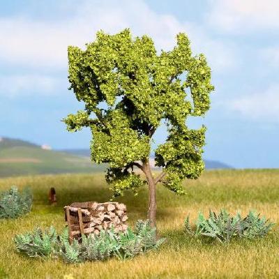 梨の木 高さ11.5cm HO/N