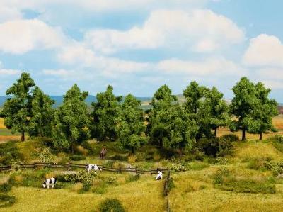 (HO)落葉樹 16本 高さ10-14cm