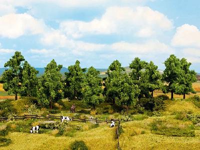 (HO/N)落葉樹 16本 高さ4-10cm