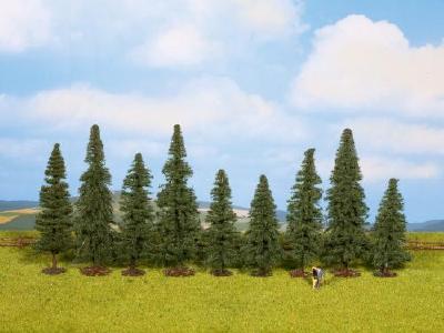 モミの木 9本 高さ8-12cm HO/N/Z