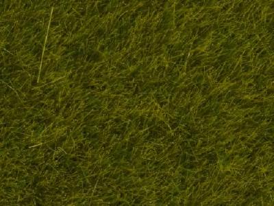 グラスマスター用草 草原 草丈6mm 100g