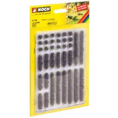 ラベンダーの花 HO