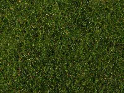 野草フォーリッジシート ミディアムグリーン 20x23cm